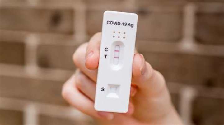 10 COVID Testing Tips That Make Travel So Much Easier, Experts Say