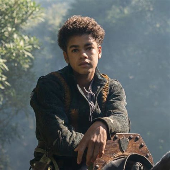 Amir Wilson | Tiuri, The Letter For The King Netflix, Actor, Will Parry, His Dark Materials, Net Worth, Age, Father, Wikipedia, Birthday, Wiki, Bio, Height, Date Of Birth, Lion King, Nationality, The King Who Would Be King