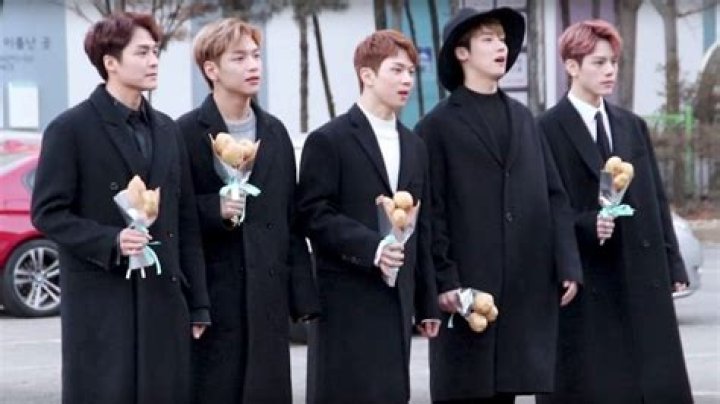 N.Flying Members, Tour, Information, Facts, Music Info, Trivia