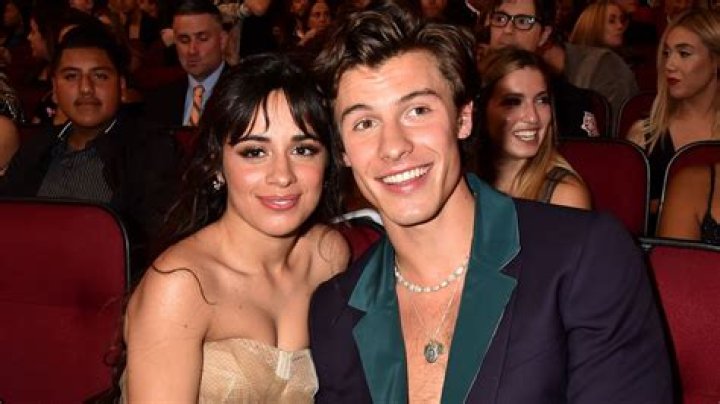Shawn Mendes and Camila Cabello Just Adopted the Cutest Puppy Together