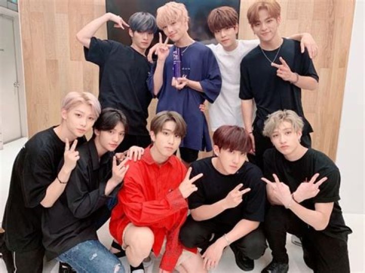 Stray Kids Members, Tour, Information, Facts