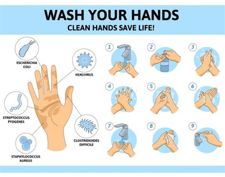 What Happens If You Don't Wash Your Hands After Petting a Dog, According to Doctors